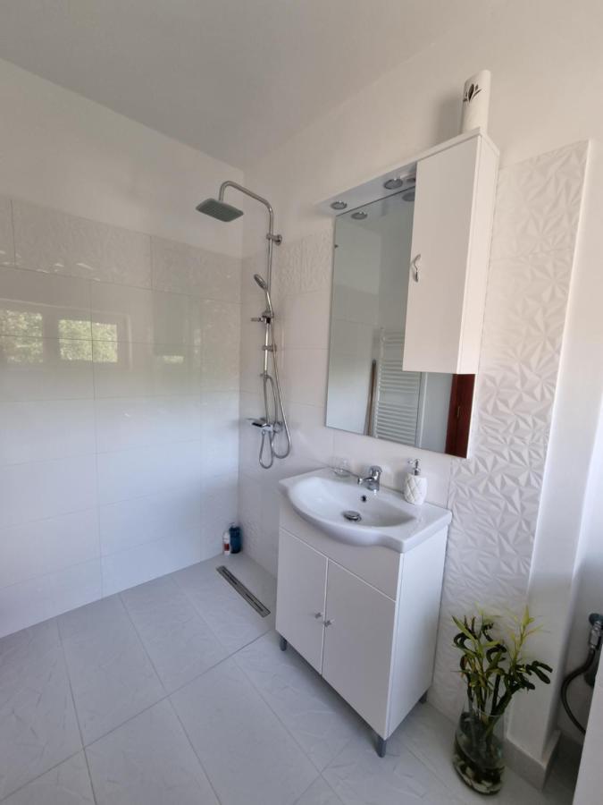 Toma Boutique Apartment Брашов Екстериор снимка