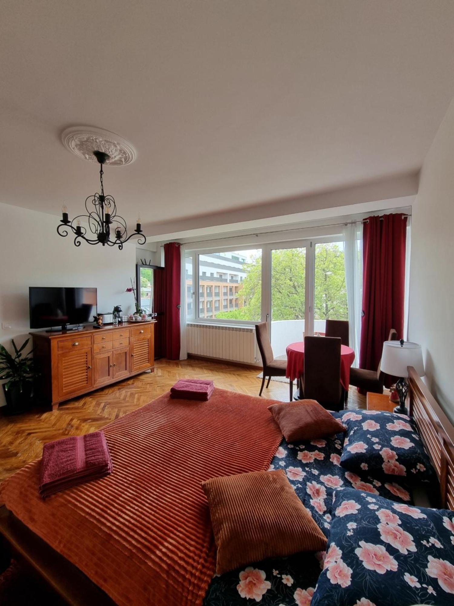 Toma Boutique Apartment Брашов Екстериор снимка